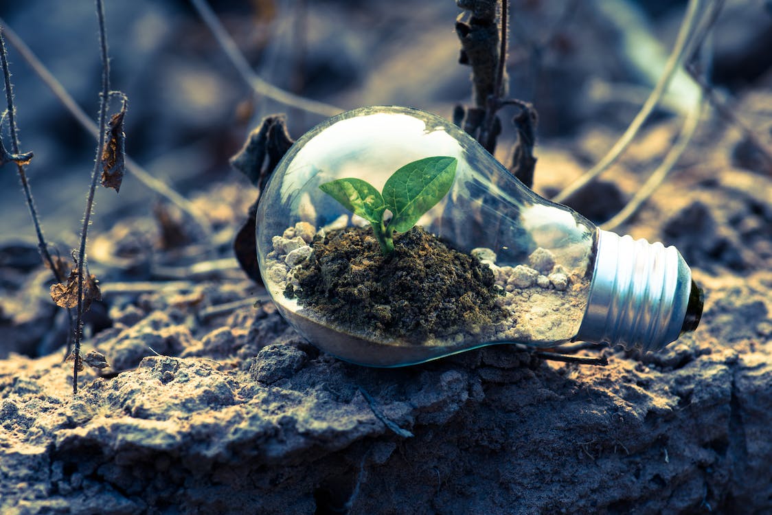green economy-job market