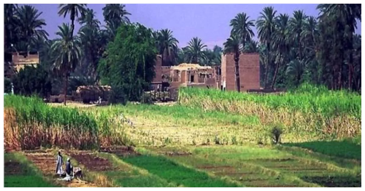 الريف-المصري